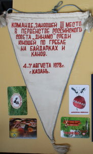 Вымпел Динамо Казань 1978 гребля