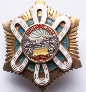Орден Полярная звезда №13091