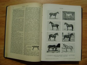 Редкость. Українська Загальна Енцикльопедія. Львів. 1930г.