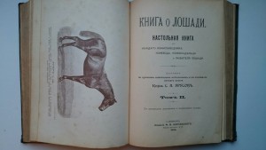 Помогите оценть стоимость. Книга о Лошади Князя Урусова