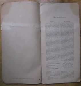 Человек, изображение его строения на 5 таблицах. 1907