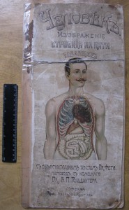 Человек, изображение его строения на 5 таблицах. 1907