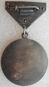 Медаль БЗ (№15381)