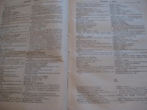 Французско-Русский словарь по горно заводскому делу. 1897г.