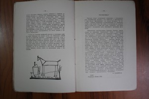 Э. Голлербах. Поэзия Д. Бурлюка. Издание  Нью-Иорк. 1931 г.