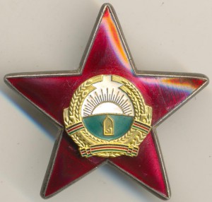 Звезда за храбрость ДРА+наст.медаль  операция Шторм-333