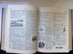 Толковый словарь русского языка, изд. Токио, 1935 год