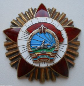 Знак ордена БКЗ МНР заколка № 3143