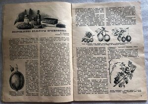 Журнал Юный натуралист №3, 1941 год.