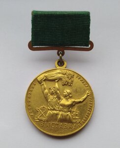Медаль ВСХВ Большая Золотая №582
