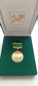 Медаль ; Почётная Грамота Харьковского городского совета