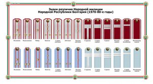 Погоны,петлицы,кокарда.Старшина милиции НРБ.