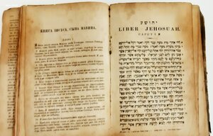 ИУДАИКА. Еврейская библия. ТАНАХ. 19-век.