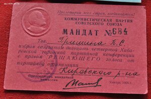 документы депутатки из Хабаровска