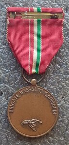 Медаль Штурмовой бригады Гарибальди Италия