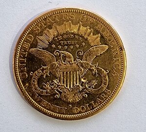 20 долларов 1879 год