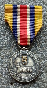 Медаль За заслуги в основании приграничной Монголии