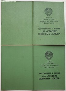 Две шикарные Целины на супругов. Номера доков - подряд.