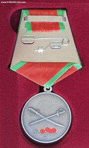 Медаль Суворова   + документ СВО, УКРАИНА