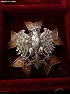 Знак частей Малопольской добровольческой армии 1920 г.