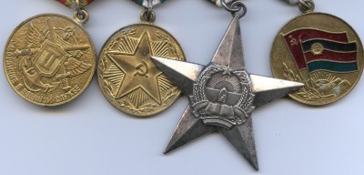 Отвага,орден"Звезда" за Афган,Суворов за Чечню.