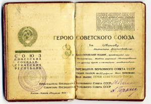 Документы на ГСС (БГ и МГ) - супер летчик ! ! !