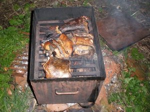Ловись рыбка большая и очень большая...
