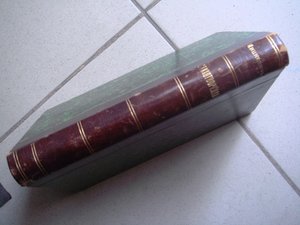 Мицкевич, стихотворения