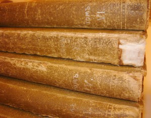 ОВ-2 КАНАВА-75207.