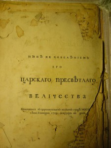 Э. Боргсдорф Побеждающая крепость 1709