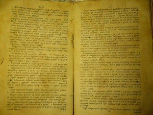 Э. Боргсдорф Побеждающая крепость 1709