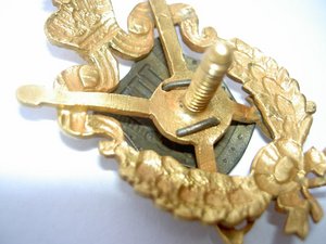 Знак 8-го Драгунского Астраханского полка.