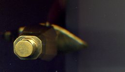 Кортик морской Обсуждение