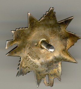 ОВ2ст-558720(Д)-Мегалюкс