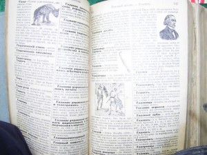 Книга – Старинная.