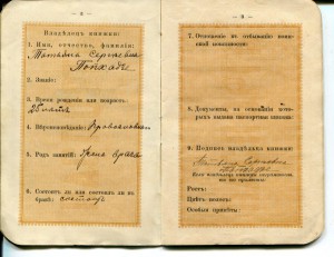 1918 паспорт на Попхадзе