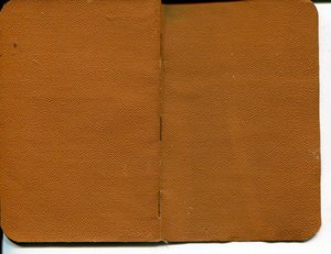 1918 паспорт на Попхадзе
