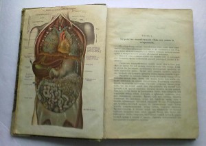 Полный домашний лечебник.1917 г.