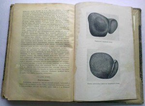 Полный домашний лечебник.1917 г.