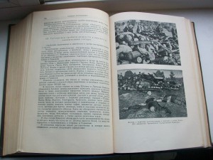 Русско-Японская частник