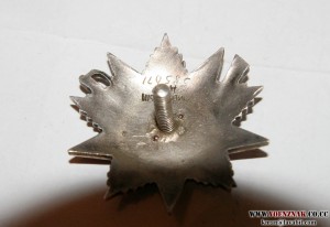 ОВ, рыбий глаз 585 тыс.