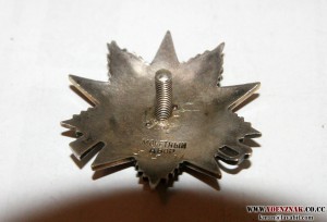 ОВ, рыбий глаз 585 тыс.