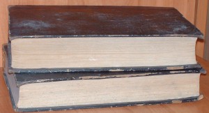 Христианское чтение 1895  2 тома