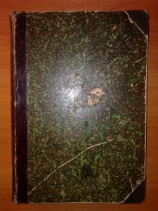 "История религий" проф. П.Д. Шантепи-де-ля Сосей 1913 г.