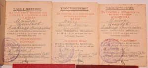 ДУНАЙСКИЙ БАНТ НА АРТЕЛЕРИСТА