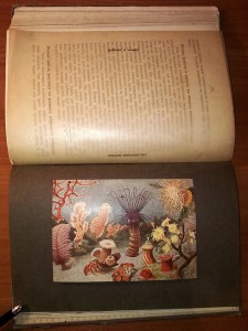 Детская энциклопедия Вагнера, 1914 г.