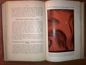 Детская энциклопедия Вагнера, 1914 г.