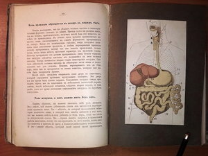 Детская энциклопедия Вагнера, 1914 г.