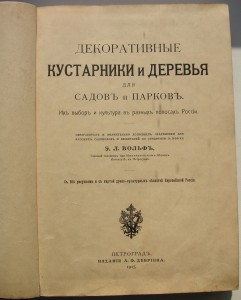Декоративные кустарники и деревья садов  и парков