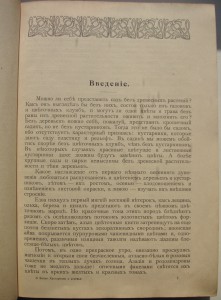 Декоративные кустарники и деревья садов  и парков